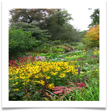 Dunham Massey Garden Oct 2013 - Helen Kulczycki